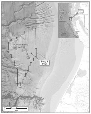 Autonomous thermal tracking reveals spatiotemporal patterns of seabird activity relevant to interactions with floating offshore wind facilities